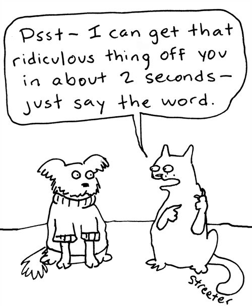 "Psst - I can get that ridiculous thing off you in about 2 seconds - just say the word."