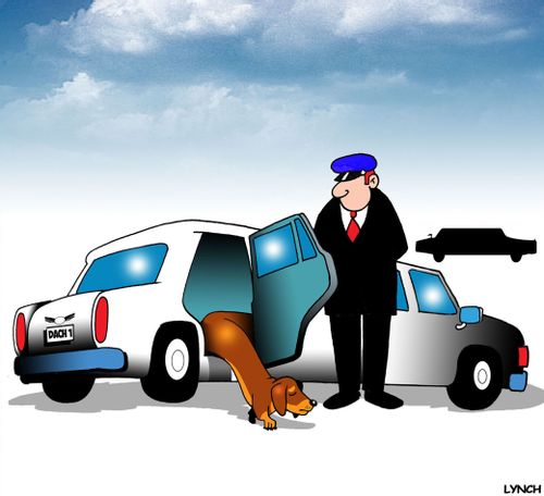 Dachshund limo