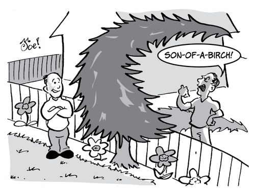 "Son-of-a-birch!"