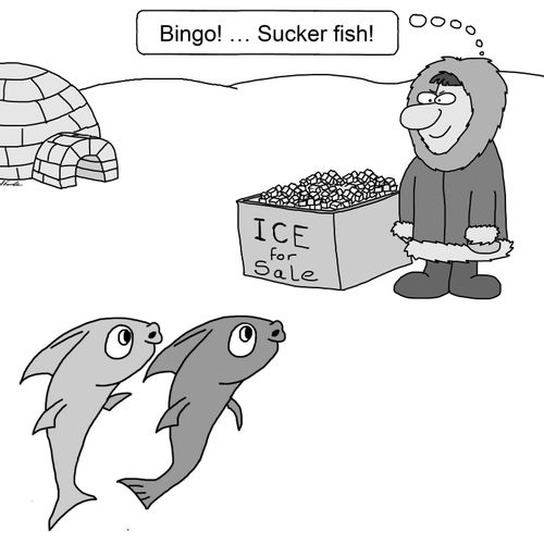 "Bingo! ... Sucker fish!"