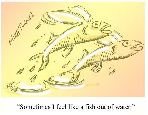 "Sometimes I feel like a fish out of water."