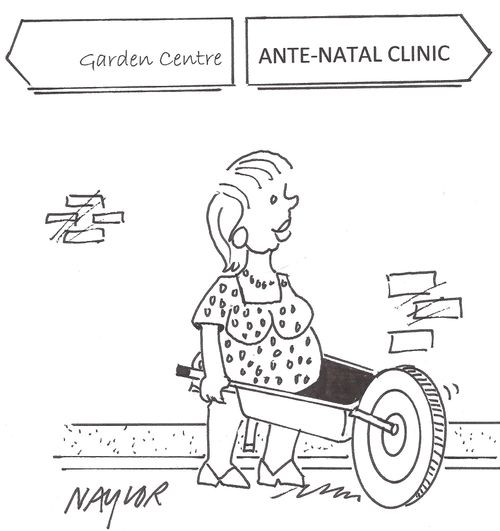 Ante-Natal Clinic