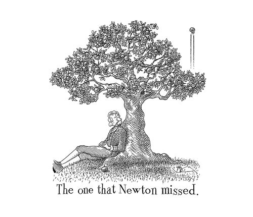 The One That Newton Missed