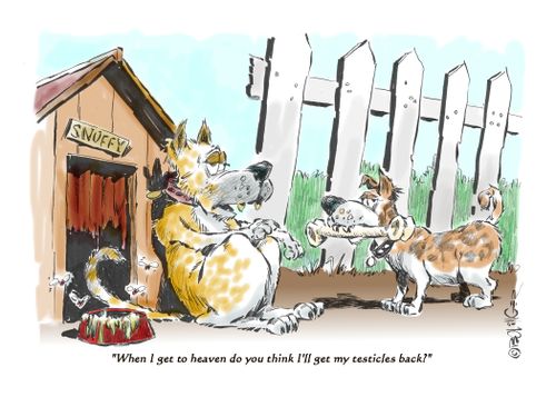 "When I get to heaven do you think I'll get my testicles back?"