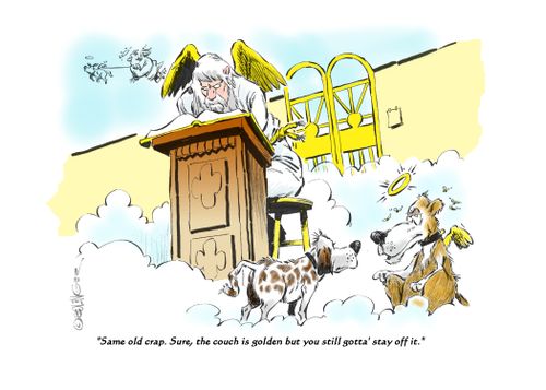 "Same old crap. Sure, the couch is golden but you still gotta' stay off it."
