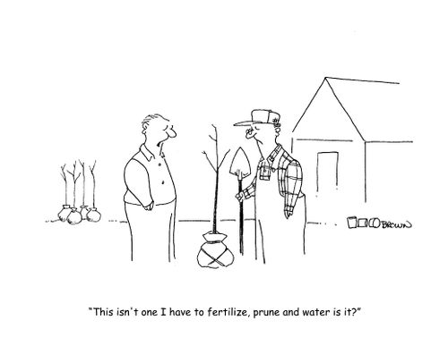 "This isn't one I have to fertilize, prune and water is it?"