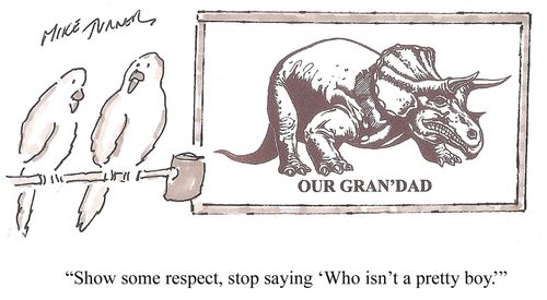 "Show some respect, stop saying 'Who isn't a pretty boy.'"