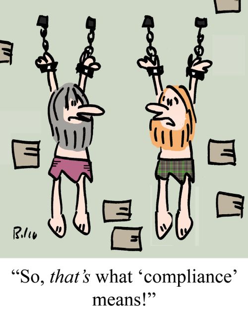 "So, THAT'S what 'compliance' means!"