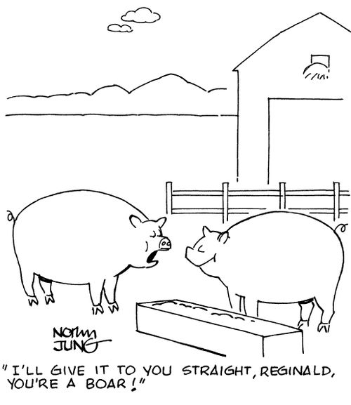 "I'll give it to you straight, Reginald, you're a boar!"