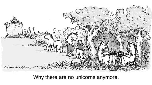 Why there are no unicorns anymore.