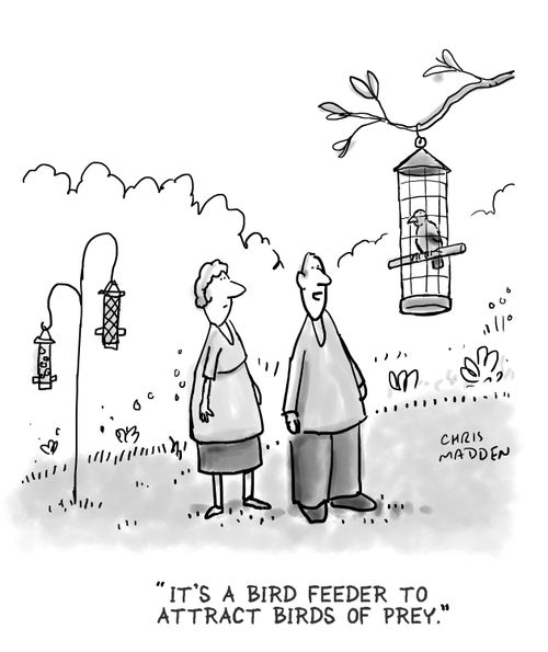 "It's a bird feeder to attract birds of prey."