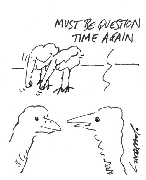 "Must be question time again."