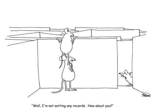 "Well, I'm not breaking any records. How about you?"