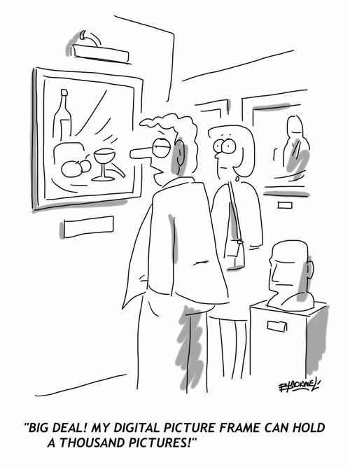 "Big deal! My digital picture frame can hold a thousand pictures!"