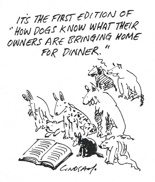 "It's the first edition of 'How dogs know what their owners are bringing home for dinner'."