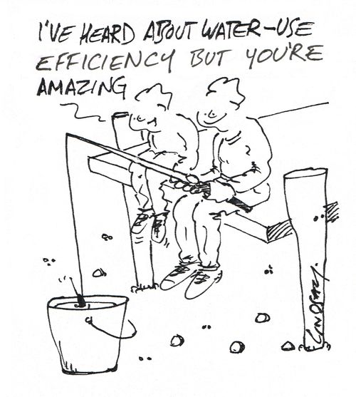 "I've heard about water-use efficiency but you're amazing." 