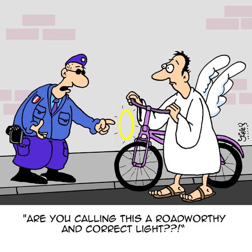 "Are you calling this a roadworthy and correct light??!"