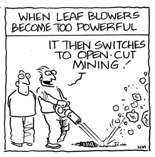 Wen leaf blowers become too powerful.