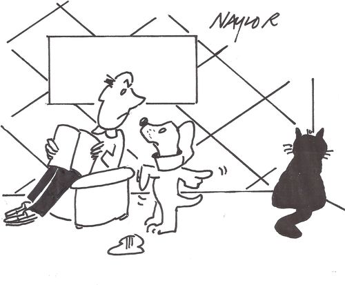 Dog blaming a cat for a mysterious puddle.