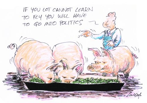 "If you lot cannot learn to fly you will have to go into politics." 