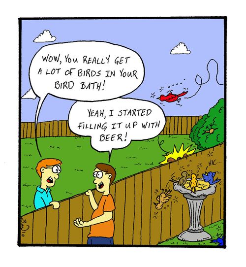 "Wow, you really get a lot of birds in your bird bath!" 