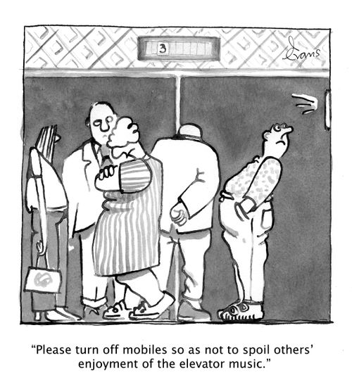 "Please turn off mobiles so as not to spoil others' enjoyment of the elevator music."