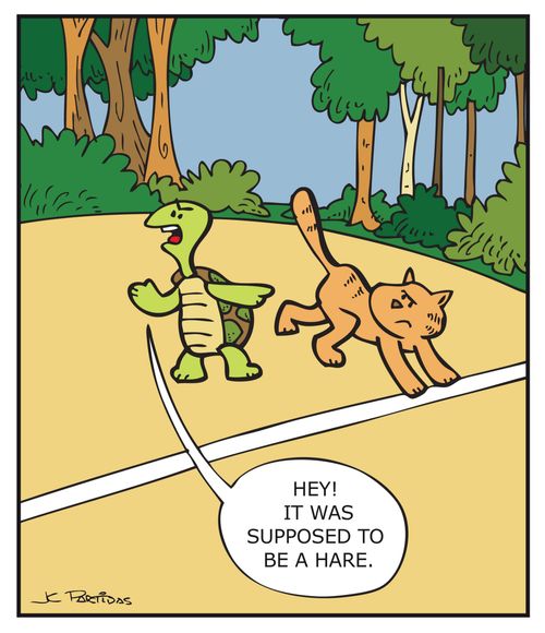 "Hey! It was supposed to be a hare."