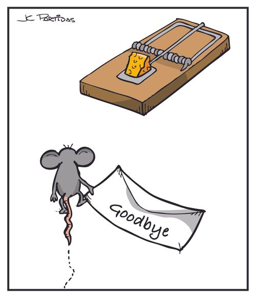Mouse Suicides