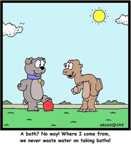 "A bath? No way! Where I come from, we never waste water on taking baths!"