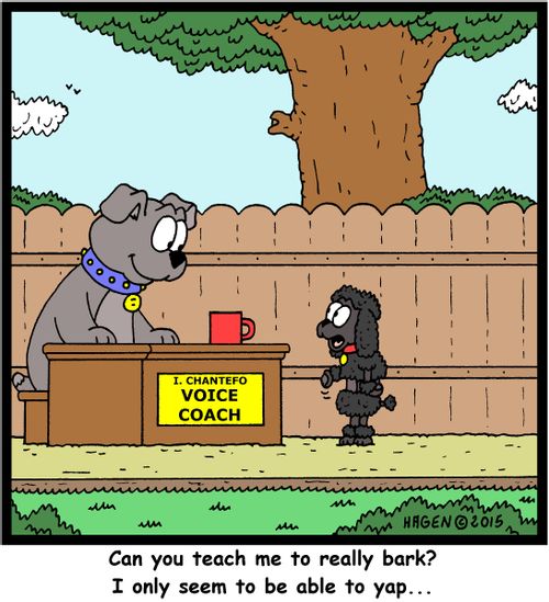 "Can you teach me to really bark? I only seem to be able to yap..."