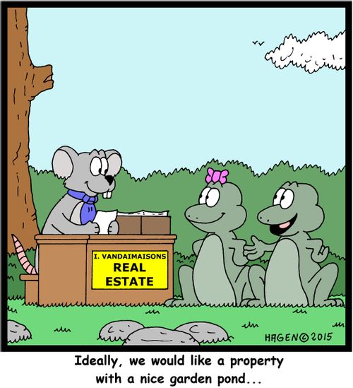 "Ideally, we would like a property with a nice garden pond..."