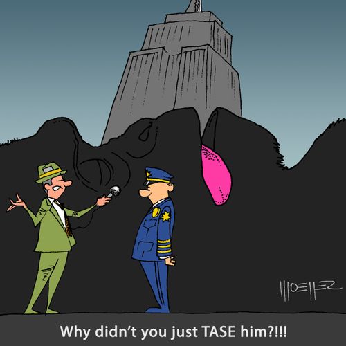 "Why didn't you just TASE him?!!!"