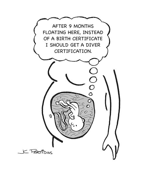 "After 9 months floating here, instead of a birth certificate I should get a diver certification."