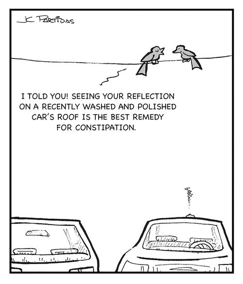 "I told you! Seeing your reflection on a recently washed and polished car's roof is the best remedy for constipation."