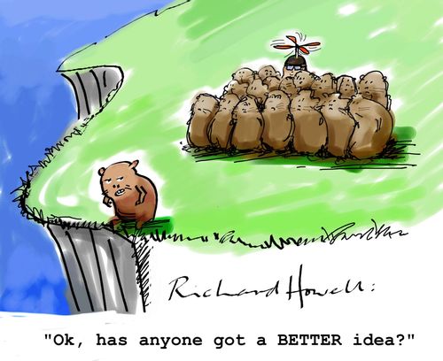 "OK, has anyone got a better idea?"