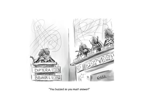 "You buzzed so you must answer!"