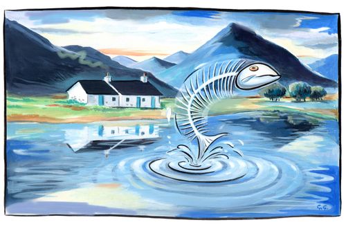 Water Pollution and Dead Fish
