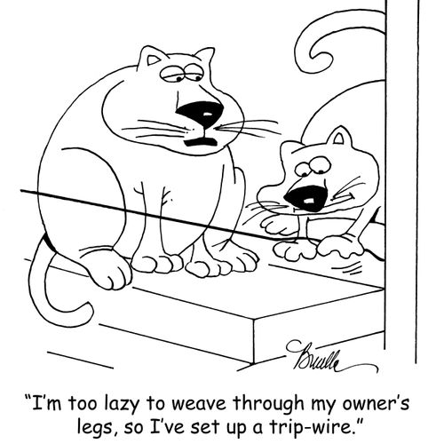 "I'm too lazy to weave through my owner's legs, so I've set up a trip-wire."