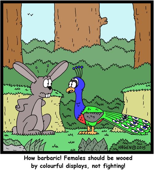 "How barbaric! Females should be wooed by colourful displays, not fighting!"
