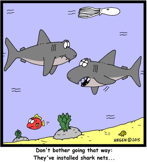 "Don't bother going that way: They've installed shark nets..."