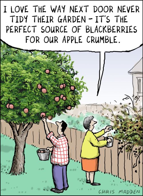 "I love the way next door never tidy their garden - it's the perfect source of blackberries for our apple crumble."
