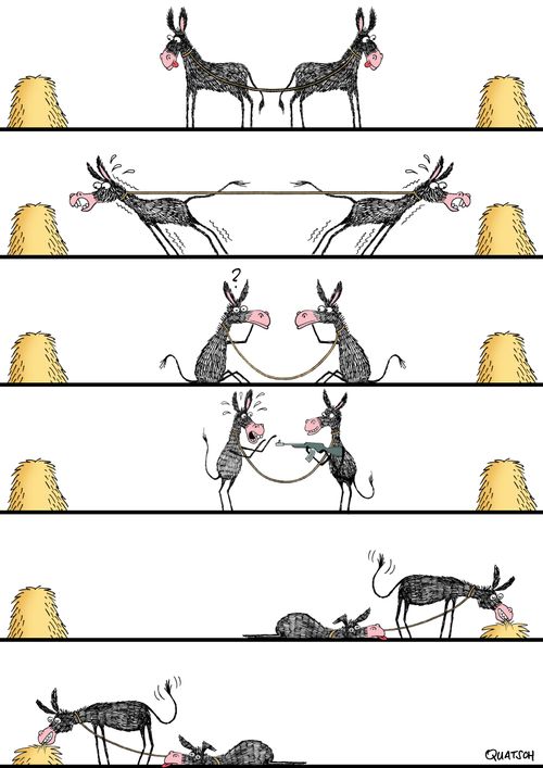 Donkey Fights