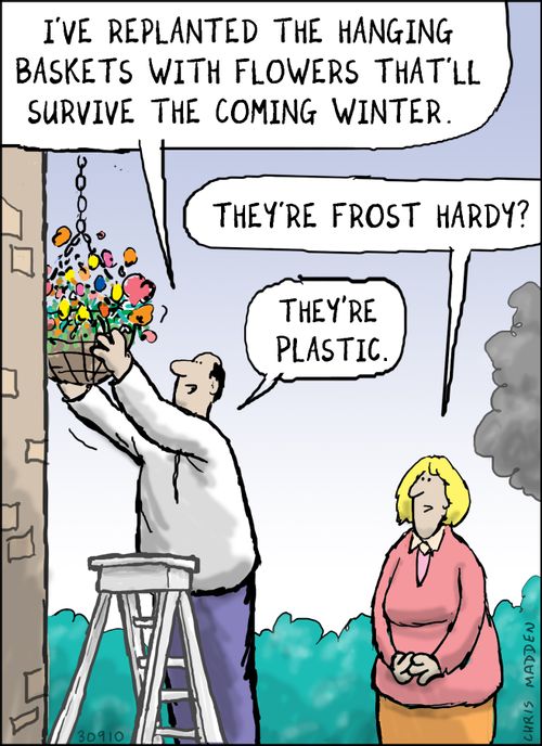 "I've replanted the hanging basket with flowers that'll survive the coming winter. . .They're plastic."
