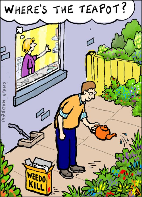 Man using the teapot to apply weedkiller to plants.