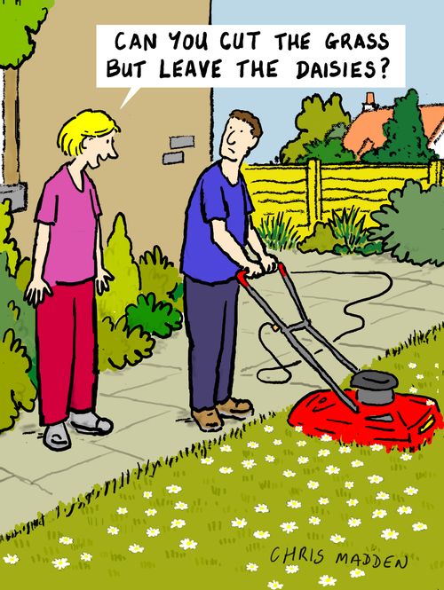 "Can you cut the grass but leave the daisies?"