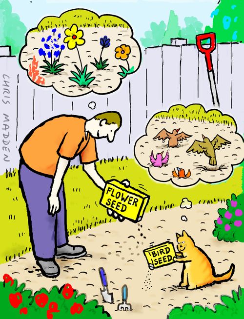 A gardener sowing flower seeds - and a cat sowing bird seed.