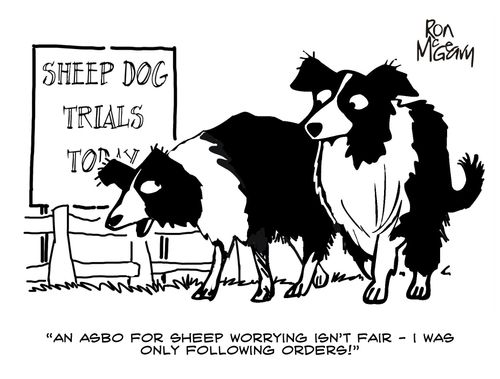 "An ASBO for sheep worry isn't fair - I was only following orders!"