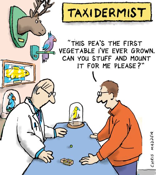 "The pea's the first vegetable I've ever grown. Can you stuff and mount it for me please?"