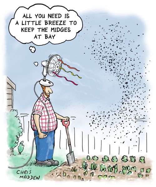 "All you need is a little breeze to keep the midges at bay."