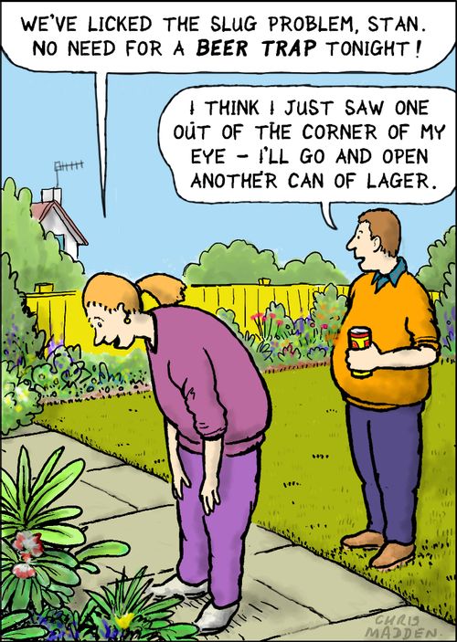 "We've licked the slug problem, Stan. No need for a beer trap tonight!"
